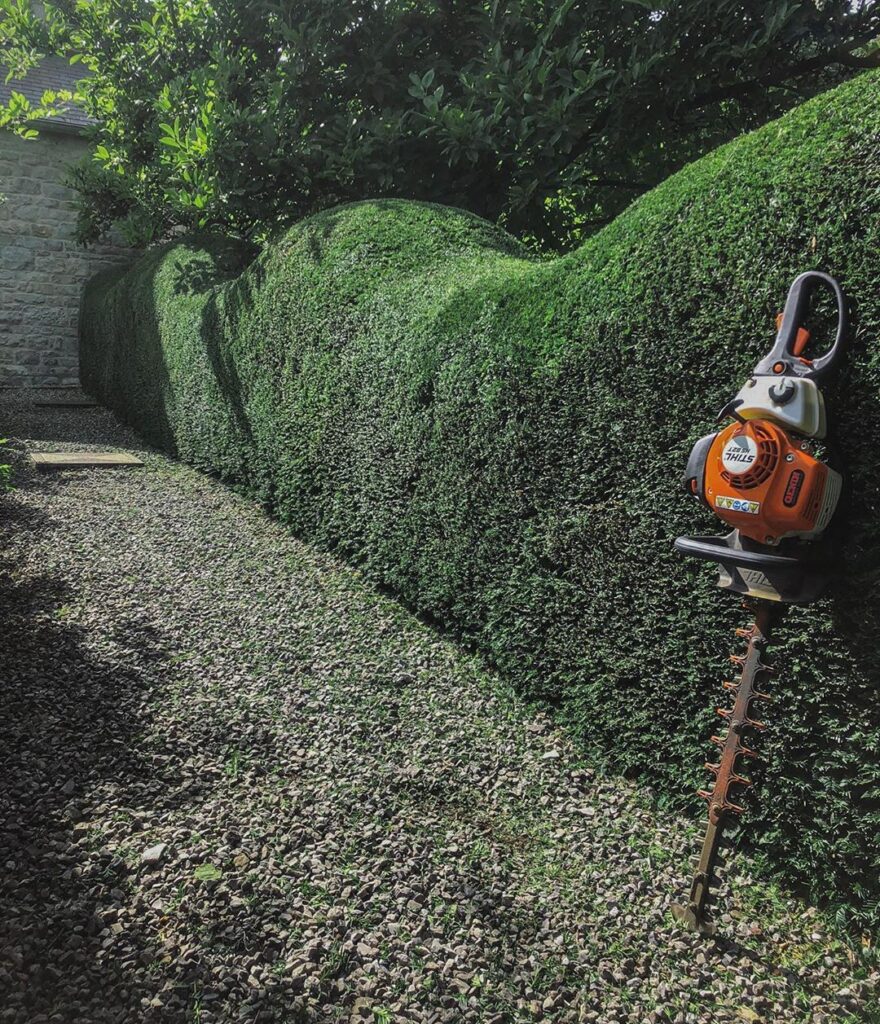 hedgecutting