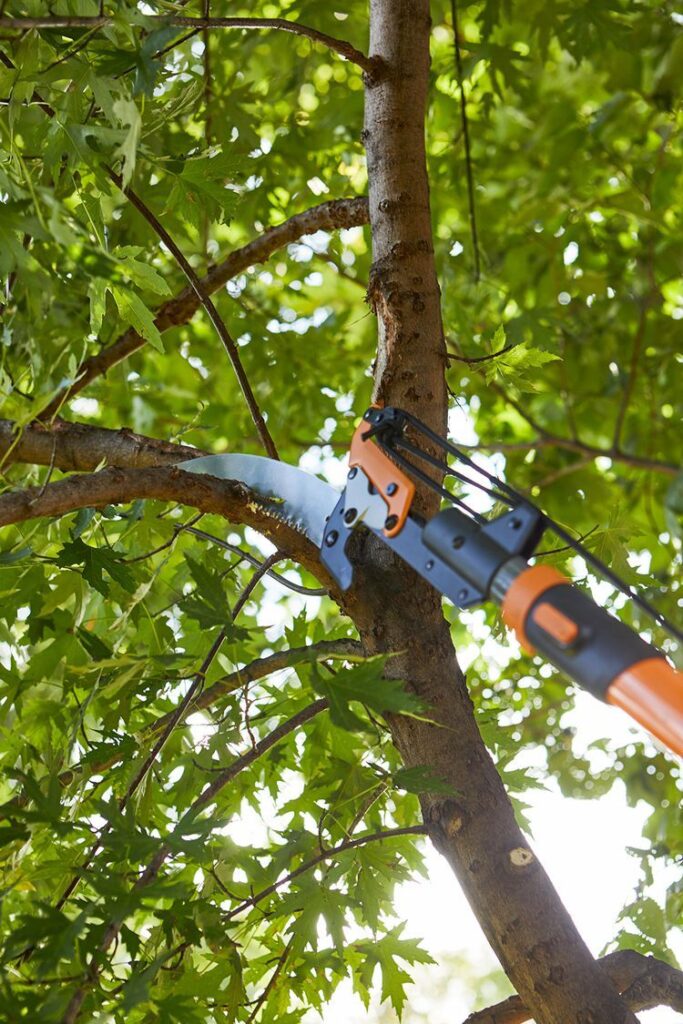 tree pruning